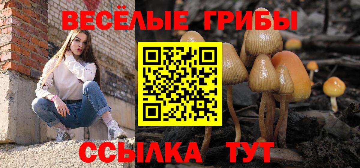 Псилоцибиновые грибы ЛСД Нижнекамск