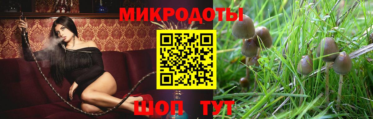 Псилоцибиновые грибы Psilocybine cubensis  Вход с VPN  Нижнекамск 